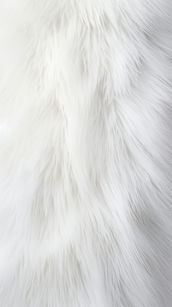 White fur backgrounds monochrome.