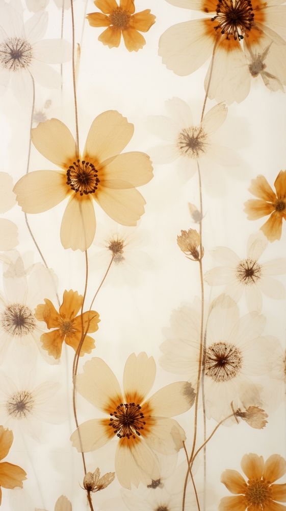 Real pressed chinese flower pattern backgrounds wallpaper.