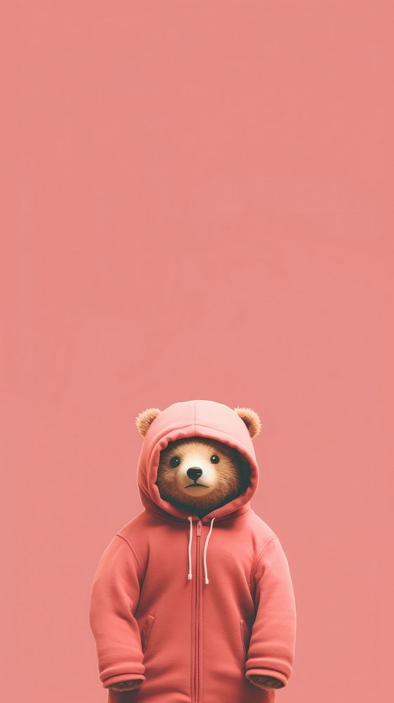 Aesthetic bear photography sweatshirt hood.