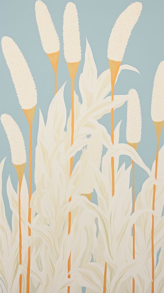 White pampas flower blooms backgrounds pattern plant.