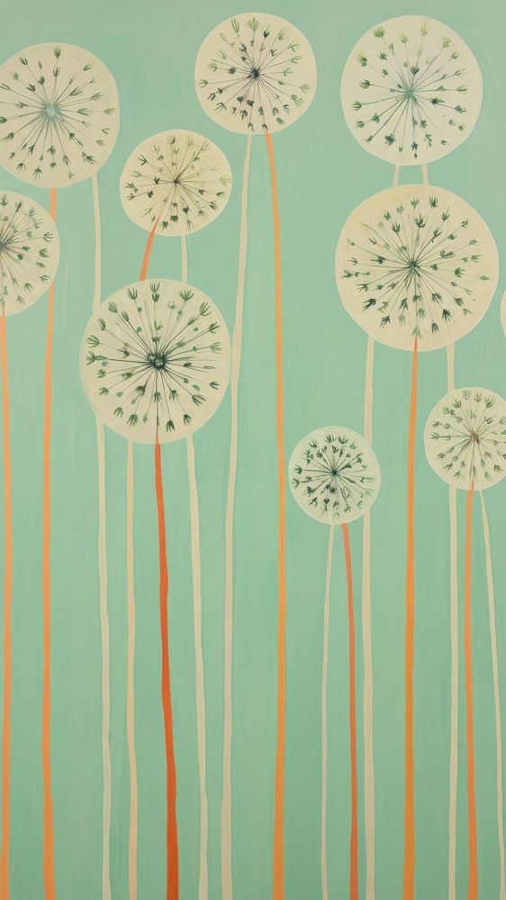 Allium flower blooms backgrounds dandelion wallpaper.