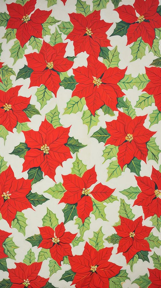 Blooming poinsettia flowers backgrounds pattern plant.