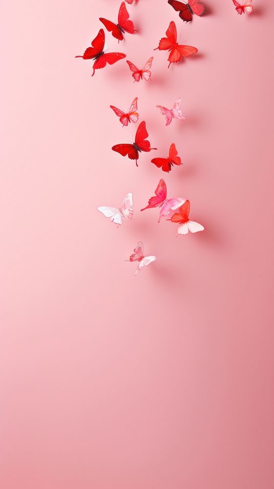 Abstract wallpaper petal copy space fragility.