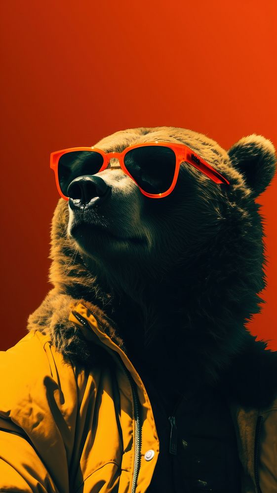 Bear sunglasses photography wildlife.
