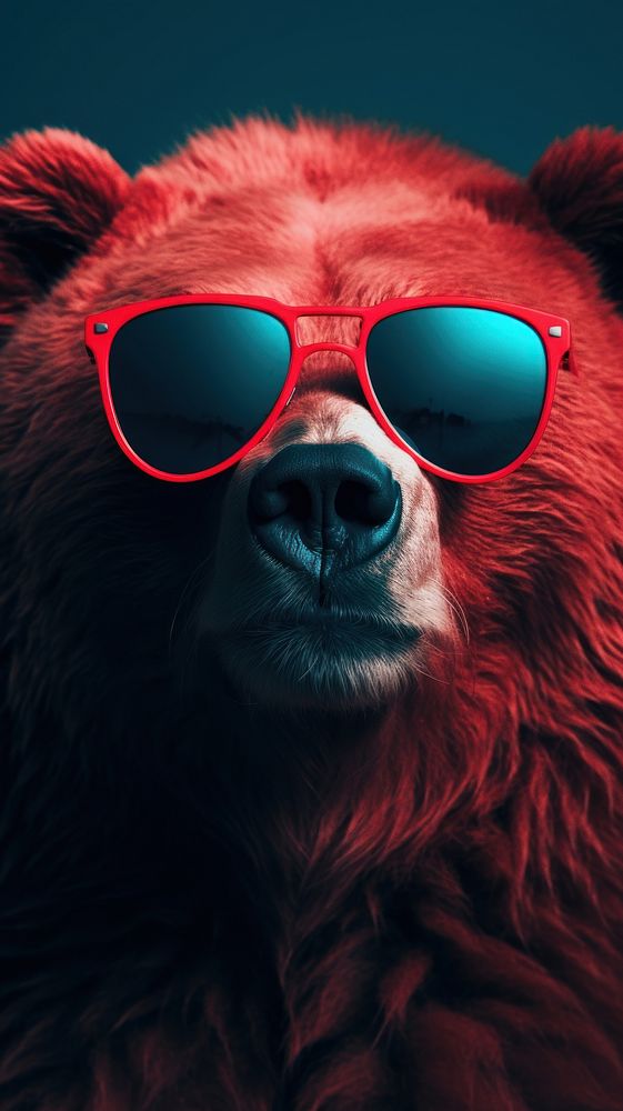 Bear sunglasses photography mammal.