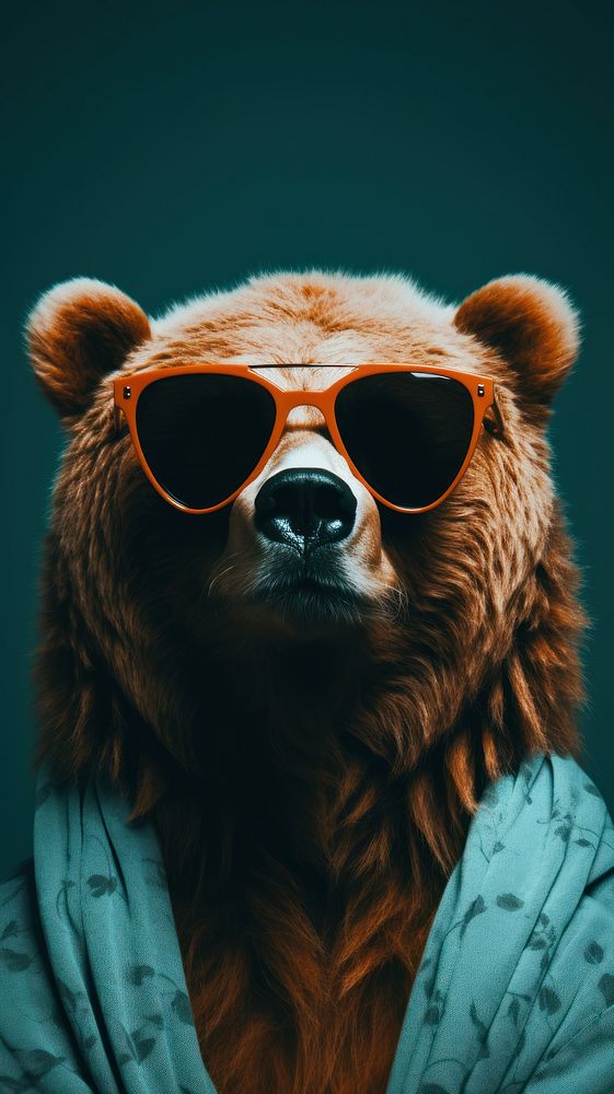 Bear sunglasses photography portrait.