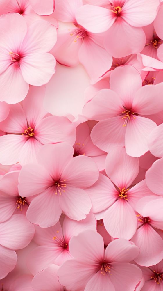Blossom flower petal backgrounds.