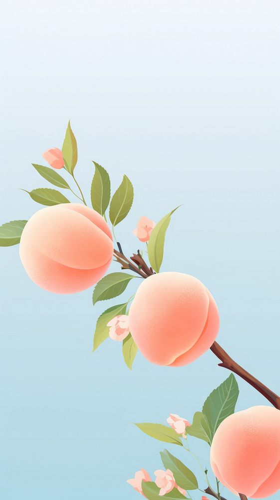 Peach plant freshness fragility.