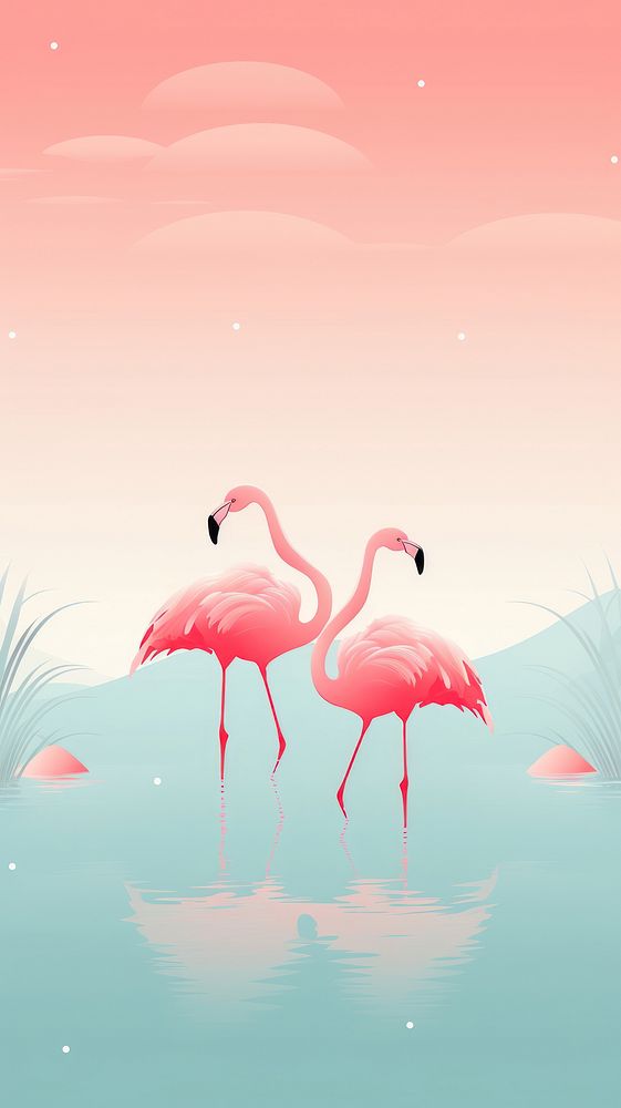 Pink flamingos animal bird togetherness.