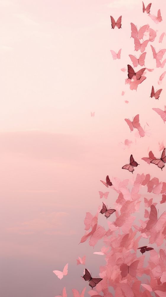 Butterflys in pink aesthetic sky petal plant tranquility.