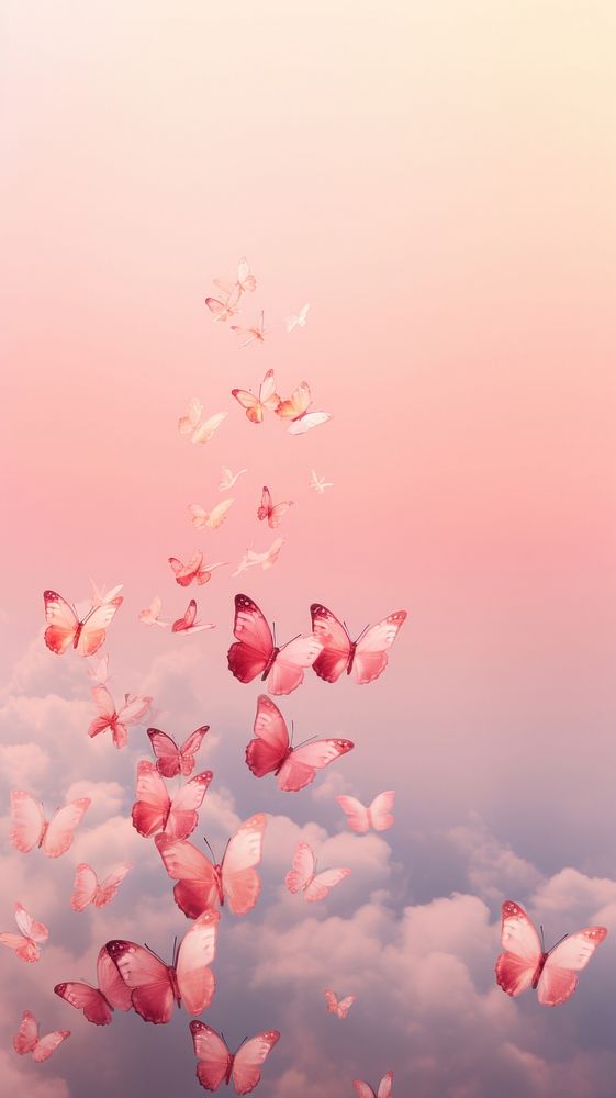 Butterflys in pink aesthetic sky outdoors nature flower.