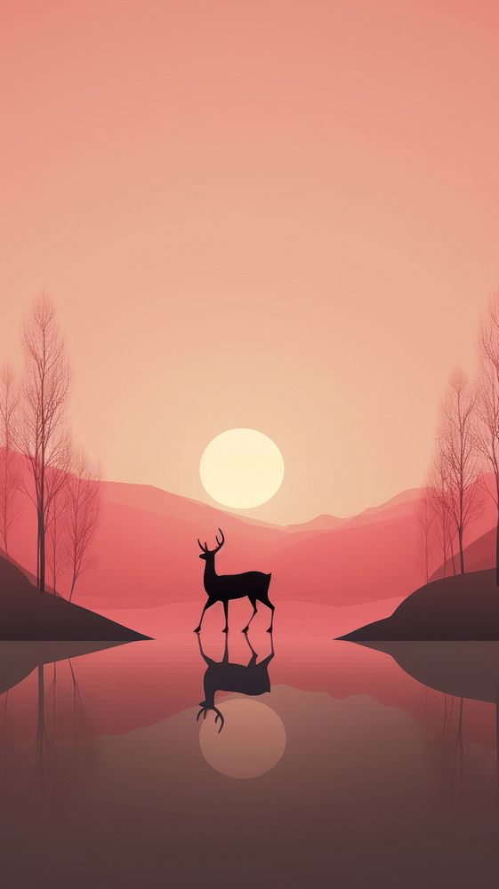 Deer outdoors nature sunset.