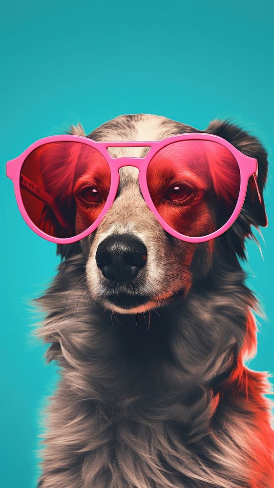 Dog with sunglasses portrait mammal animal.