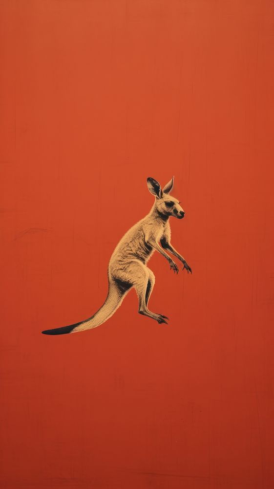 Kangaroo animal mammal representation.