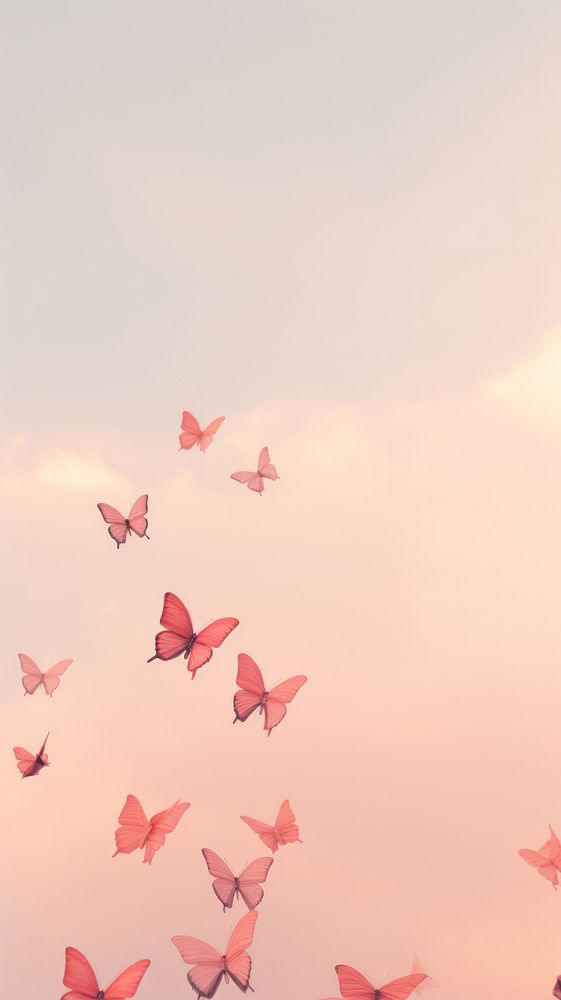 Butterflys in pink aesthetic sky flying petal backgrounds.