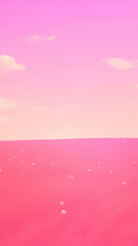 Pink meadow backgrounds outdoors horizon.