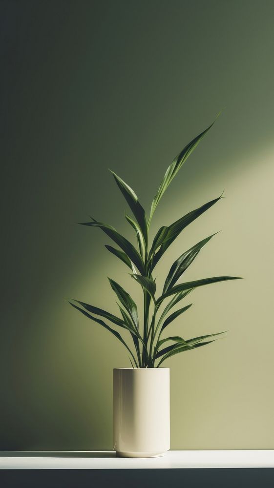 Plant vase houseplant flowerpot.