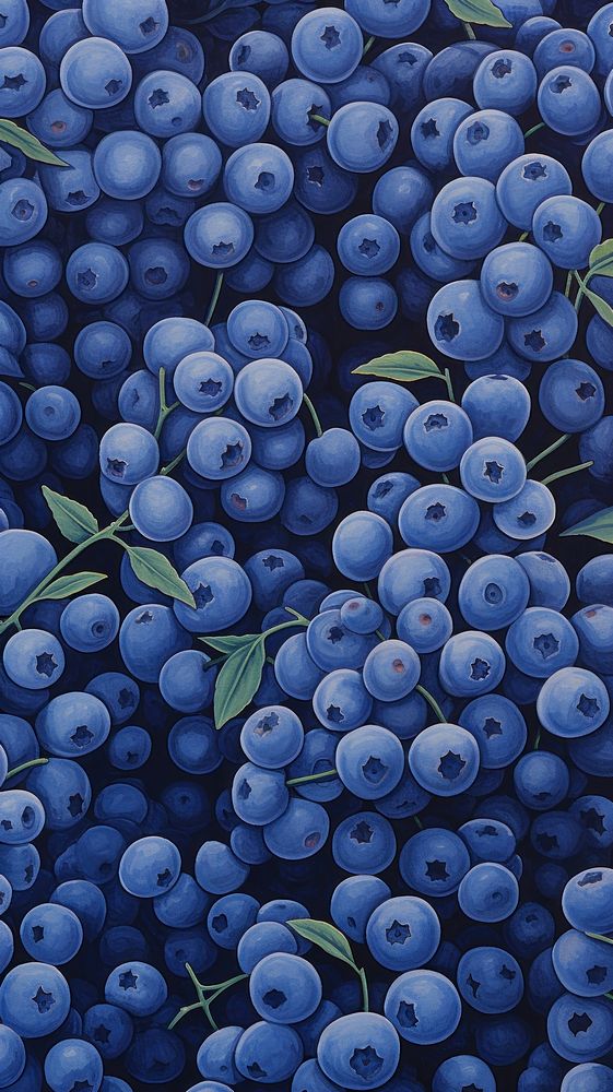 Illustration of blueberries blueberry pattern purple.