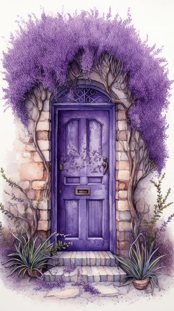 Illustration of purple door lavender flower plant.