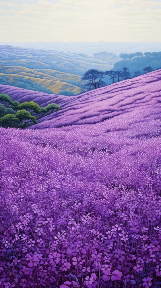 Illustration of purple flower landscape lavender outdoors.