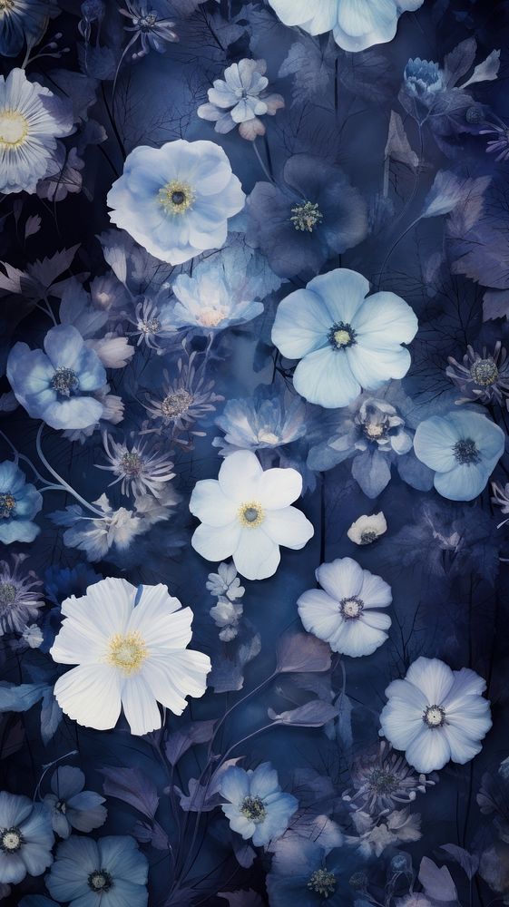 Blue wallpaper flower nature petal.