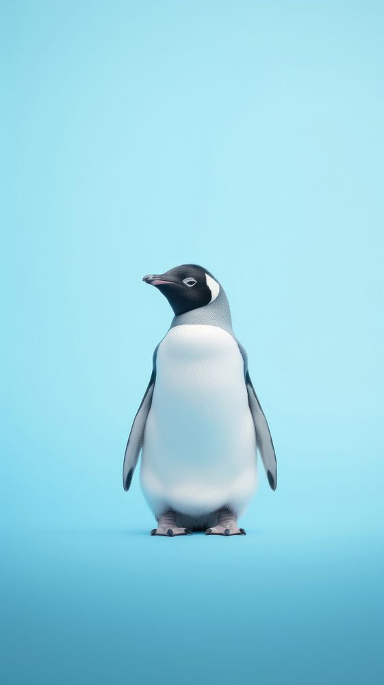 A penguin animal bird wildlife.
