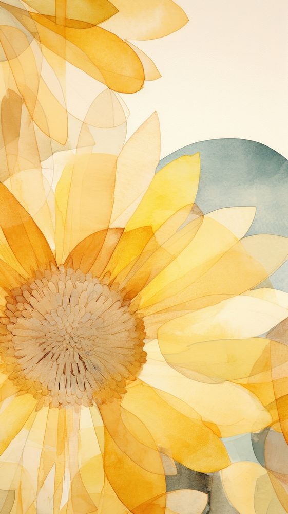 Sunflower abstract pattern petal.