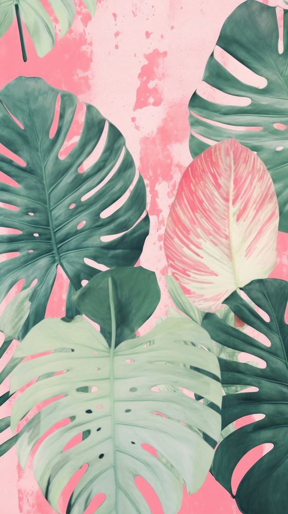 Monstera leaf shapes craft backgrounds person plant.