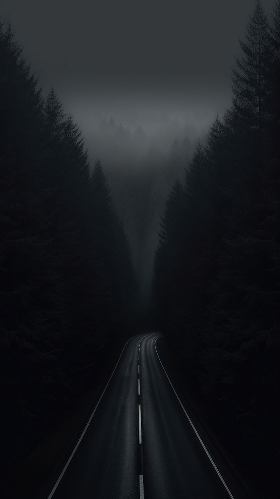 Dark aesthetic road wallpaper highway nature plant.