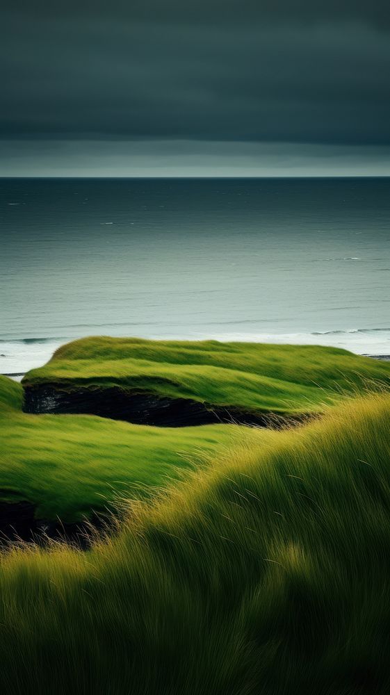 Photography of beach landscape field green.