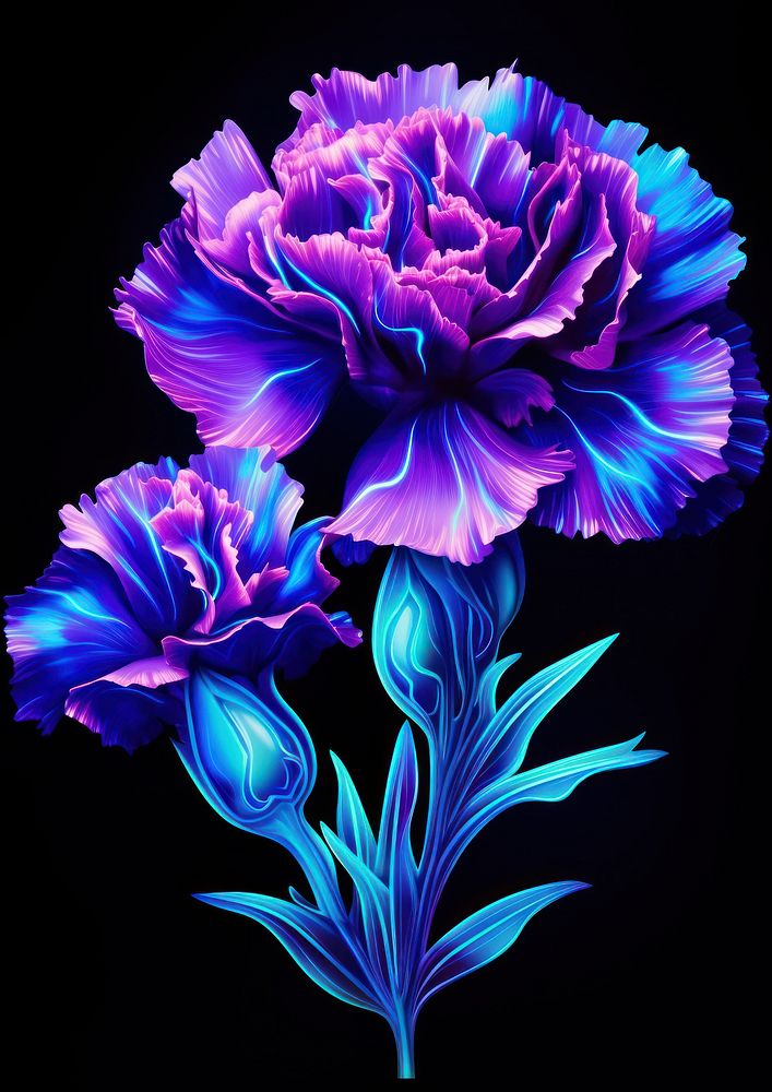 Neon carnation violet flower plant.
