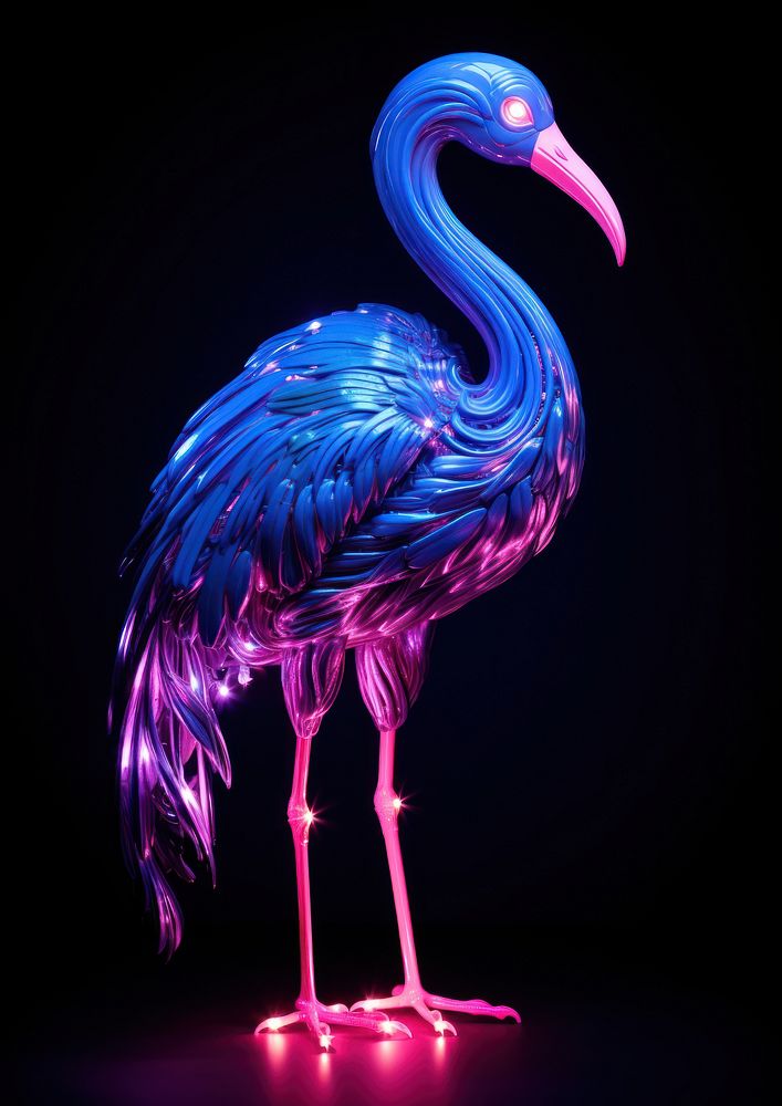Flamingo animal light bird.
