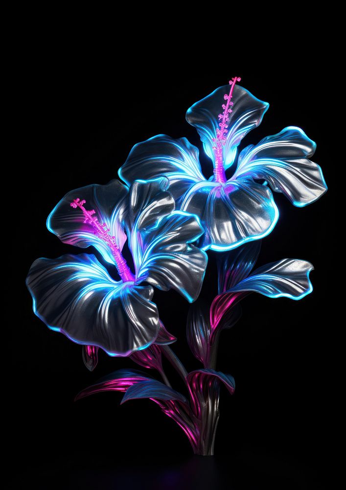 Neon hibicus light flower plant.