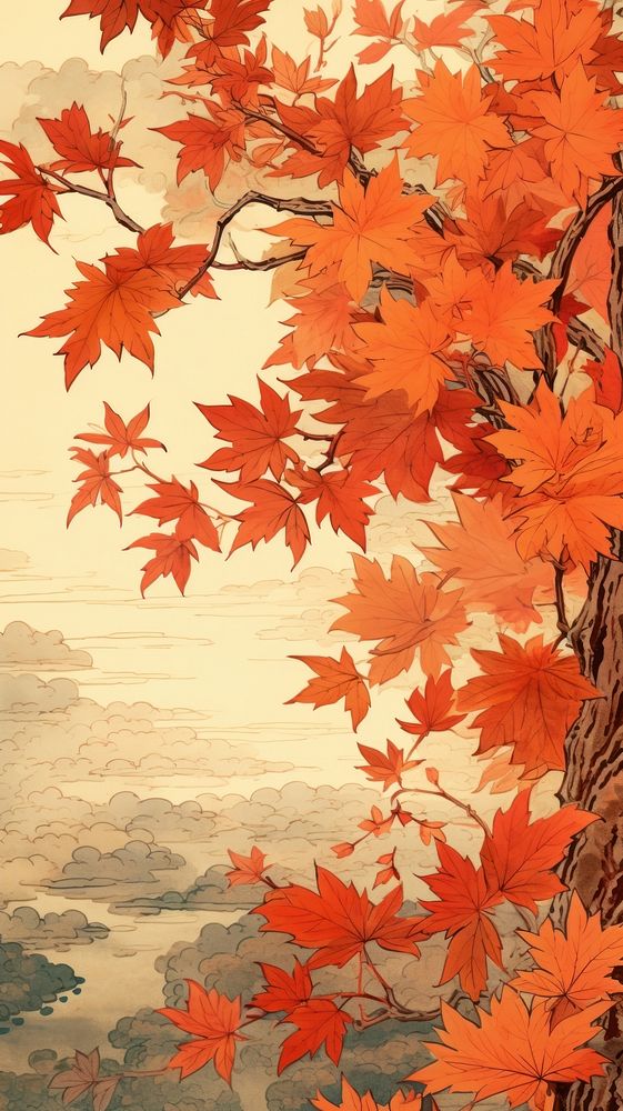 Traditional japanese autumn leaves maple plant tree.