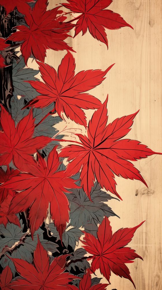 Traditional japanese maple leaves plant leaf wood.
