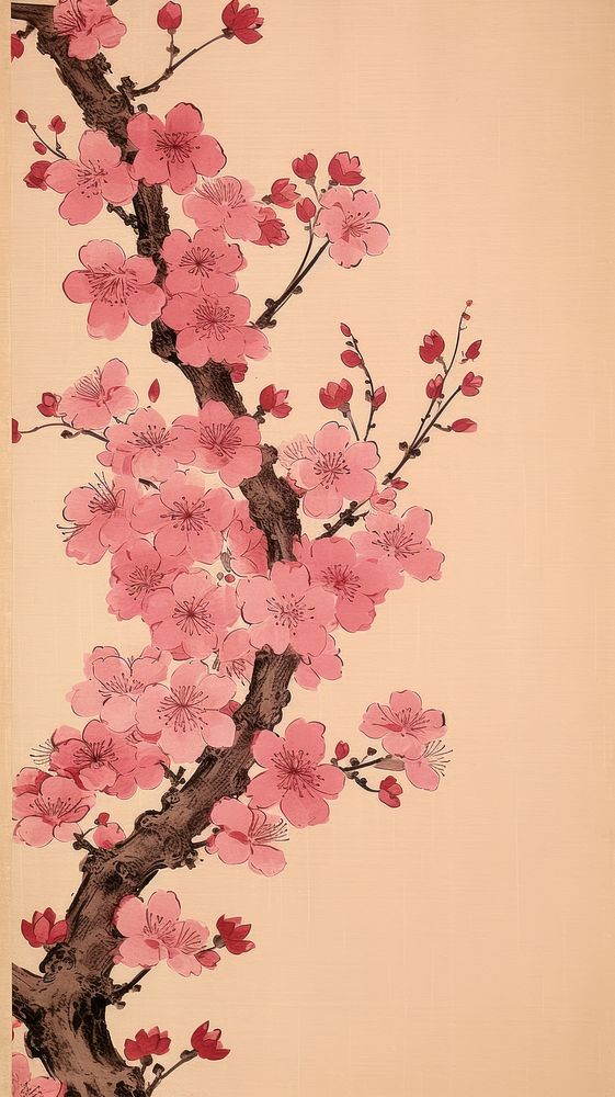 Traditional japanese sakura blossoms flower plant calligraphy.