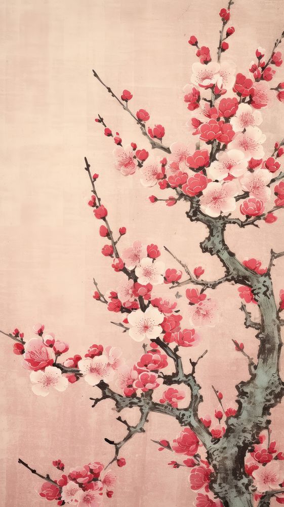 Traditional japanese sakura blossoms flower plant backgrounds.