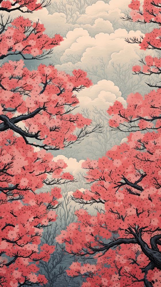 Traditional japanese sakura trees outdoors nature plant.