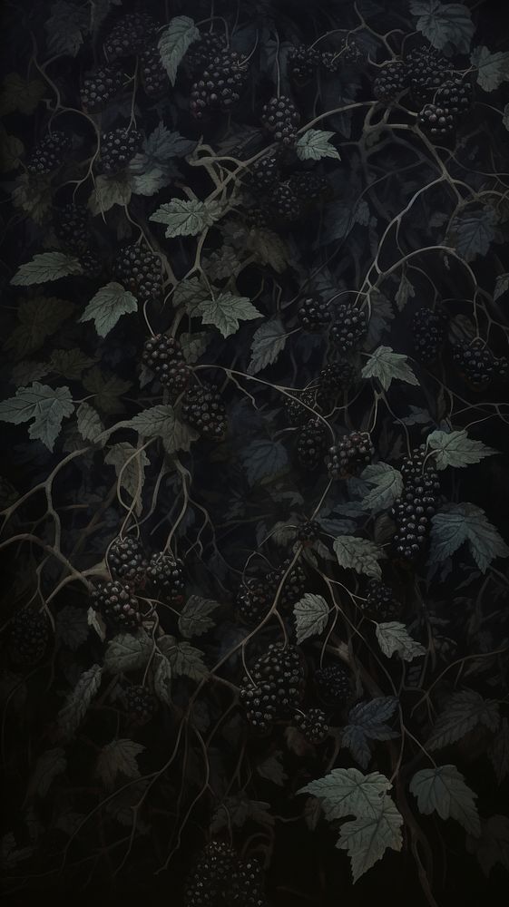 Acrylic paint of blackberries plant backgrounds scratched.
