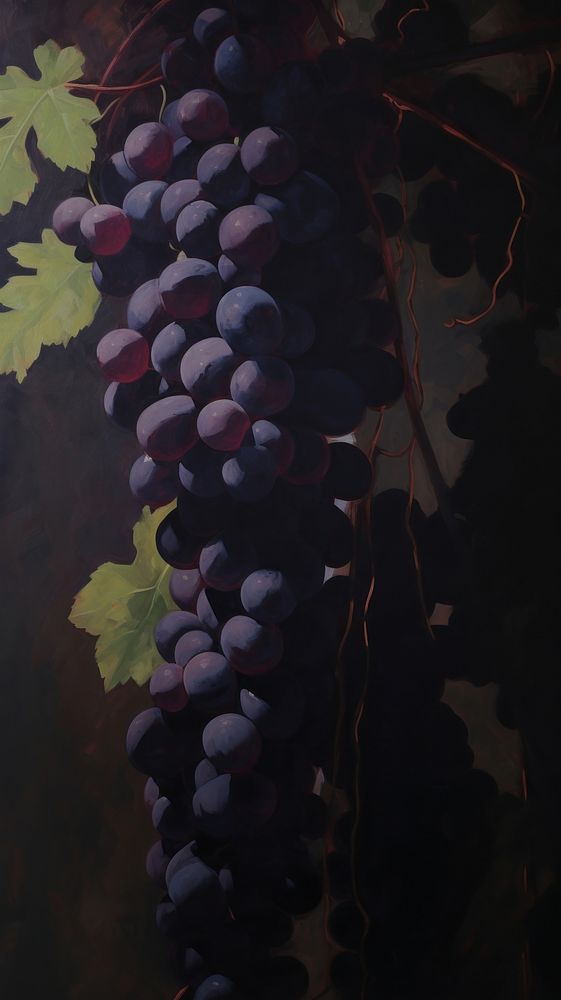 Acrylic paint of grape grapes plant winemaking.