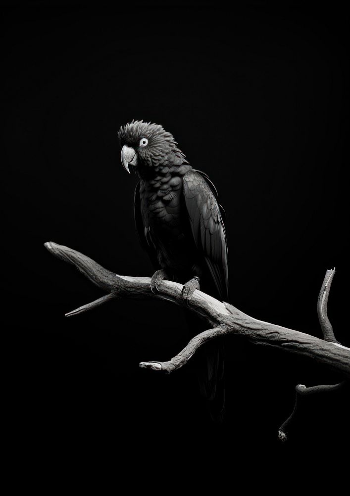 A parrot on a tree animal black bird.