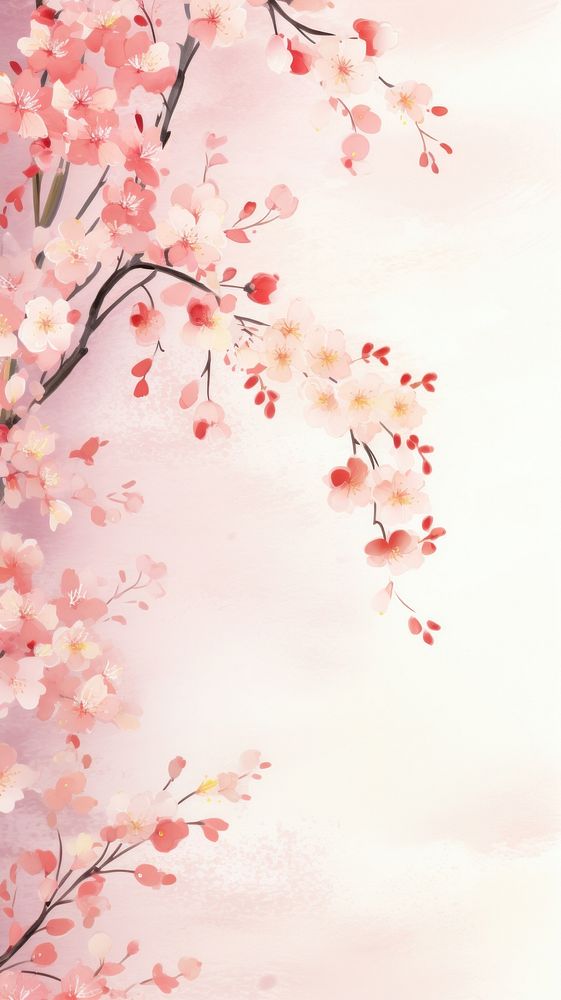 Cherry blossom wallpaper backgrounds flower plant.