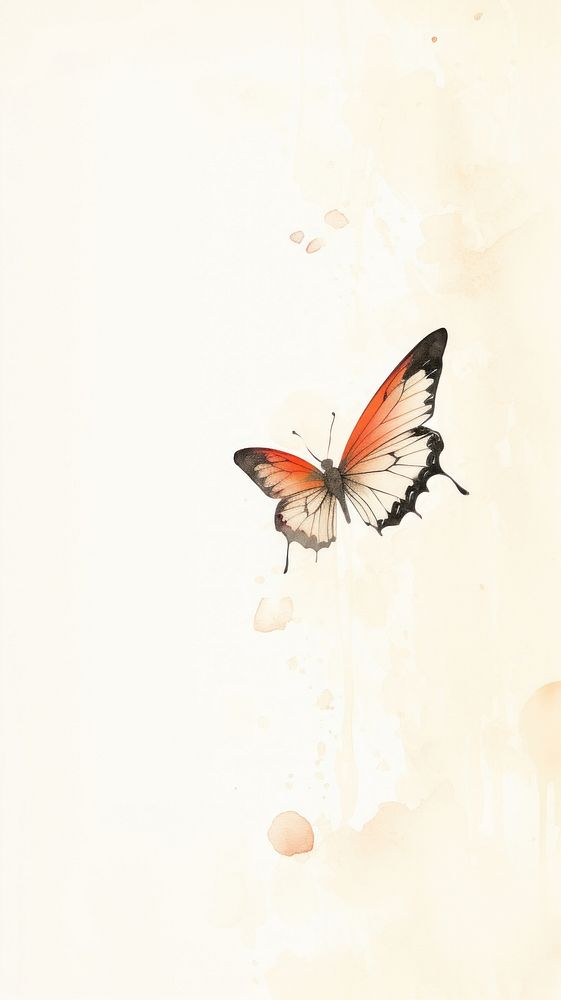 Butterfly wallpaper painting animal insect.