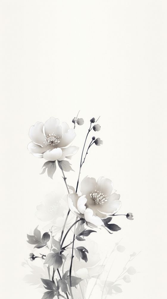 Bouquet wallpaper white pattern flower.