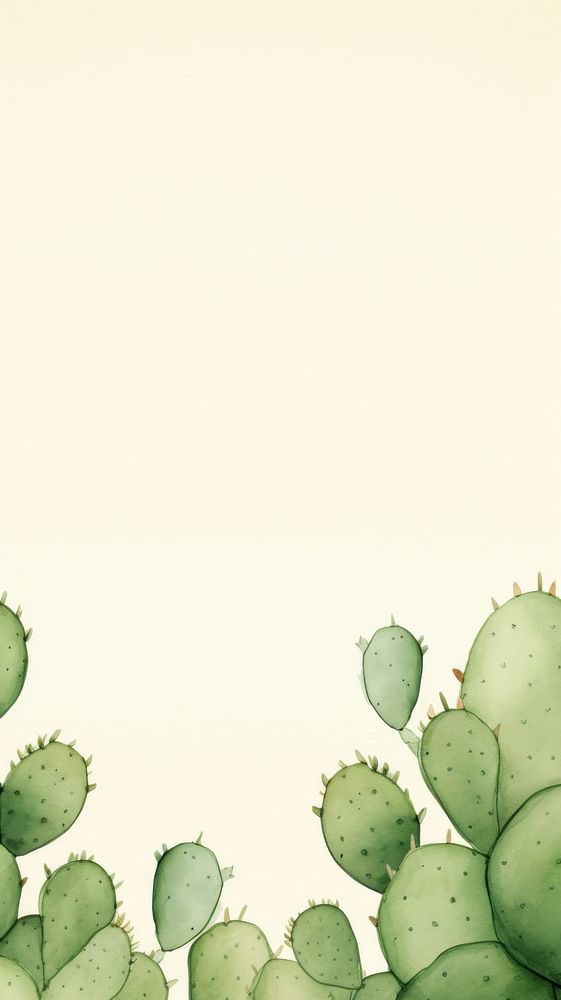 Cactus wallpaper backgrounds plant abstract.