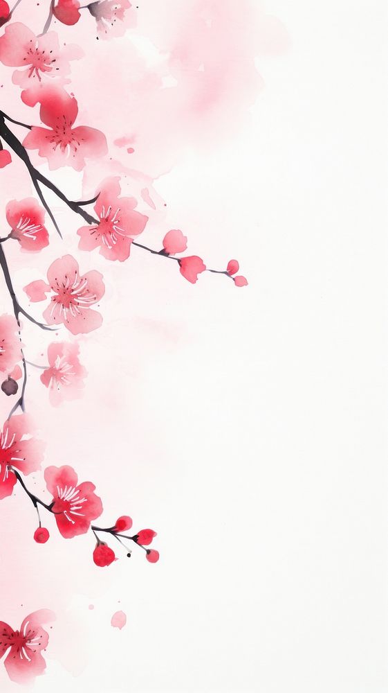 Cherry blossom wallpaper backgrounds flower nature.