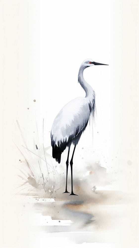 Crane wallpaper animal bird ciconiiformes.