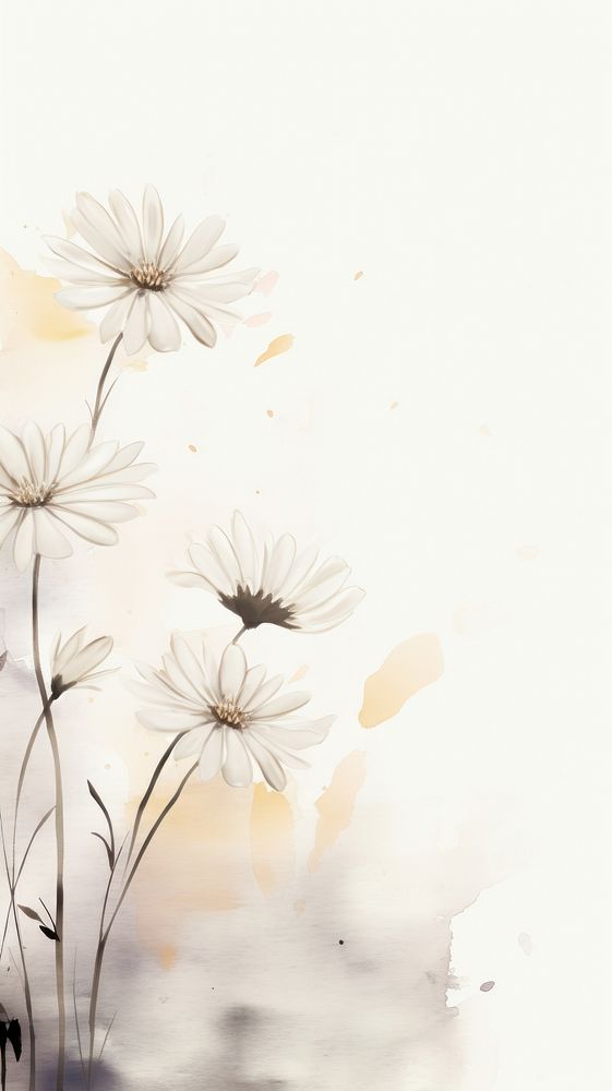 Daisy wallpaper backgrounds painting flower.