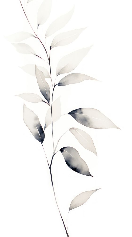 Leaf wallpaper drawing sketch plant.