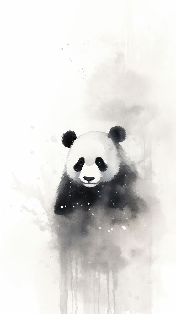 Panda wallpaper wildlife mammal paint.